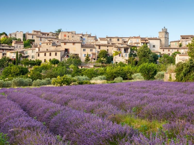 <p>Viaggio Lavanda</p>